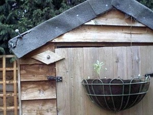 Poor shed security